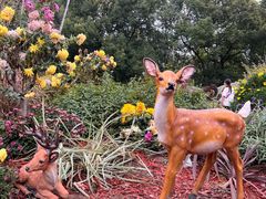 -上海共青森林公园