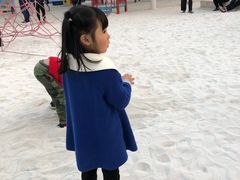 -美的鹭湖探索王国