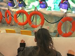 -帝企鹅自助餐厅•儿童岛•真企鹅(长隆企鹅酒店)