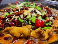 -老板恋上鱼(恒隆广场店)