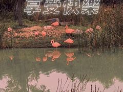 -上方山森林动物世界