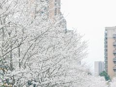 -新天地活力PARK