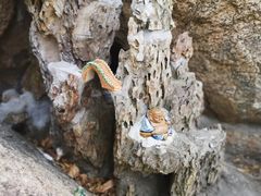 -青芝山风景名胜区