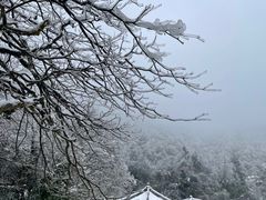 -瓦屋山景区