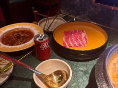 -牛New寿喜烧(金鹰世界店)