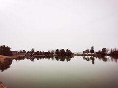 -瑶湖郊野森林公园