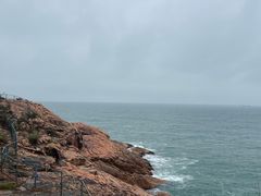 -广东惠东海龟国家级自然保护区