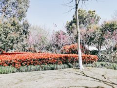 -杭州城北体育公园