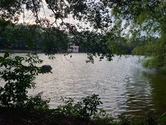 -南国桃园旅游度假区