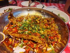 -龙师傅卤炒(天马店)