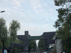 -溱湖国家湿地公园