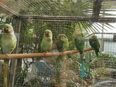 -大连森林动物园