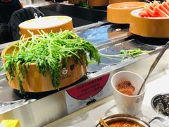 茼蒿-龍歌自助小火锅(崂山丽达店)