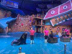 -烟台海昌鲸鲨海洋公园