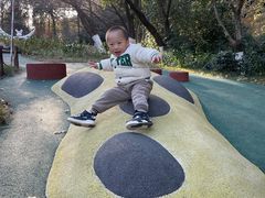 -杭州少年儿童公园