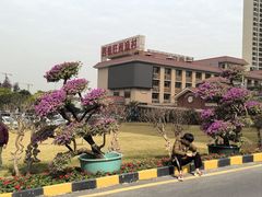 -国家五钻酒家·西樵旺阁渔村(西樵店)