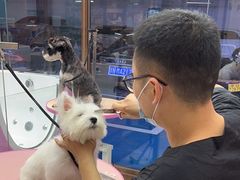 -FAELING PETS美天灵宠物(富力广场店)