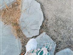 -南海子公园