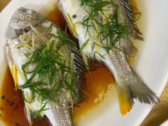 -金生美食(贵州路店)
