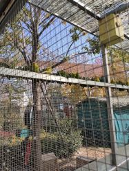 点击看大图 -萌宠亲子动物乐园(槐房万达店)