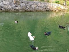 -车溪民俗旅游区