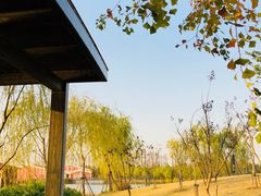 -上海长兴岛郊野公园