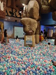 -卡通尼·Safari非洲探索乐园·生日会(金桥国际商业广场店)