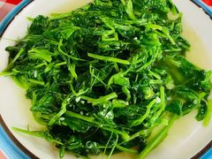 -绿草墩