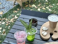 -J Create城市露营咖啡·简餐·宠物(上海动物园店)