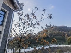 -余姚阳明温泉山庄