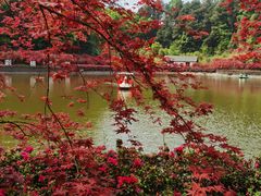 -重庆彩云湖湿地公园