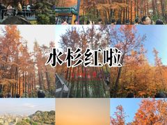 -梅峰山地公园