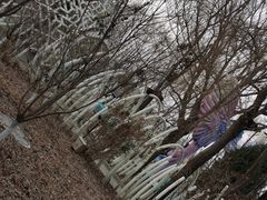 -鸽子窝公园