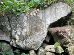 -呀诺达热带雨林