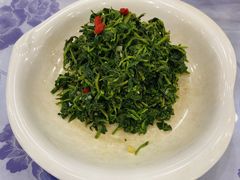 养生枸杞苗-老毛手抓·盐池滩羊非遗手抓(宁夏总店)