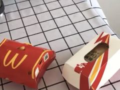 -麦当劳(红旗路店)