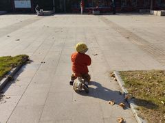 -泰州凤城河风景区-泰山公园