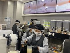 -雾与山茶(大禹城店)