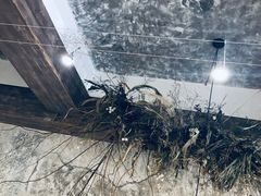 -侘寂甜品(自取店)