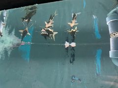 -苏州海洋馆