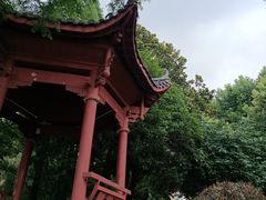 -雨湖公园