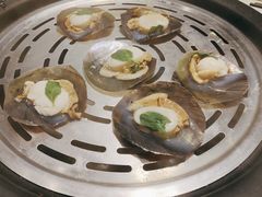 -青蓬蒸汽海鲜·深圳老字号·团建聚会(壹方城店)