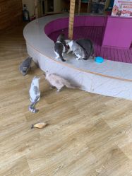 -萌宠亲子动物乐园(槐房万达店)