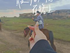 -空中草原