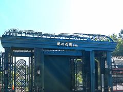 -南沙蒲洲花园