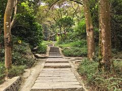 -黄埔油麻山森林公园