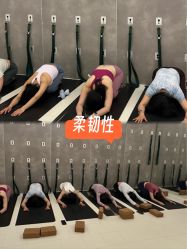 -那·瑜伽&孕产·普拉提·塑身减脂