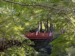 -三千院