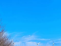 -东白山