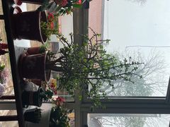 -北京龙庆四季香农家饭庄·灶台鱼·碳烤虹鳟鱼(龙庆峡店)